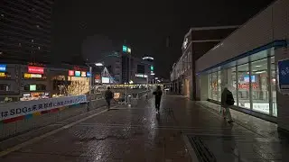 Tokyo snowfall 2026