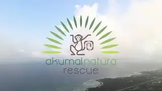 Spring Equinox celebration at Akumal Natura 2021