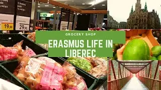 Grocery Shopping on a Snowy Day, Erasmus in Czech Republic|| Technical University of Liberec #3
