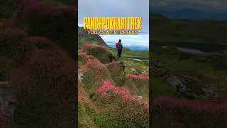 Трек Панчпокхари Стоимость и подробности #nepal #travel #nepaltravel #panchpokharitrek #муссонон