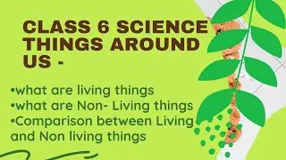 Class 6 Science-| Quick Revision | Things Around Us | Living Things and Non-Living Things