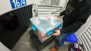 We Bought A Mini Storage Unit for $360 #whatnot #unboxing #auction #storagewars