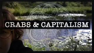 My favourite piece of art ever [The Silt Verses video essay]