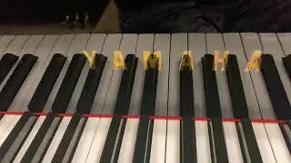 Wenol Polish For Brass Letters on Piano