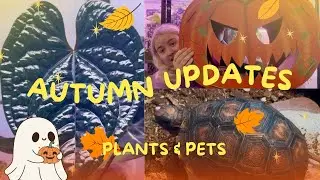 Caring for Pets and Plants: My Halloween Haul and Update!🎃