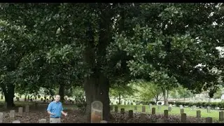 Spotlight: The Trees of Atlanta's Historic Oakland Cemetery