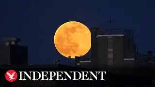Live: Super worm moon shines over Rome's Colosseum