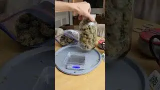 Lemon AK Auto 🍋 Fast Buds | Hybrid by kccinkc