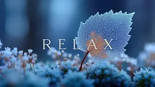 Расслабляющая Зимняя Гитара ~ Уютные Акустические Мелодии Снегопада ~ Музыка для Глубокого Сна