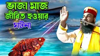 ভাজা মাছ জীবিত হওয়ার ঘটনা | md Shahirul Islam |  9932202628 | মাওলনা শাহিরুল ইসলাম | bangla waz