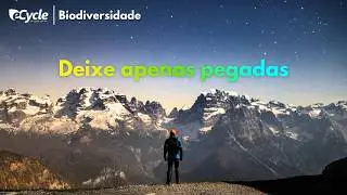 Ecoturismo: guia de viagem com dez dicas