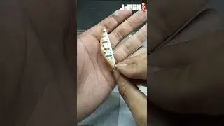 2024，let's get started.--------J-PEN HOBBY