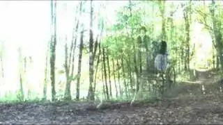 Kutschenausfahrt um den Waginger See 2008 Trailer
