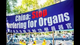 Combating China&rsquo;s Forced Organ Harvesting in 2025