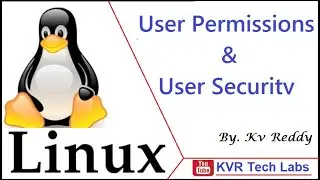User Permissions and Security