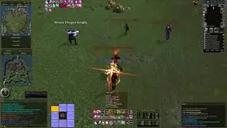 DAOC real 8 man action.
