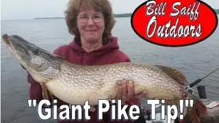 Giant Northern Pike Tip!- Capt. Bill Saiff III, taking a lesson from the old time Muskie Guides...