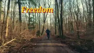 A trail. A bike. A clear mind.  #mtb #freedombike  #therapyriding #forestmtb  #relaxingoutdoor