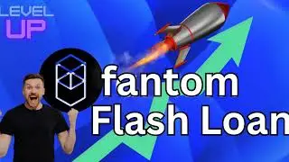 Gains $20,000 Profit with FANTOM FTM Flash Loan Arbitrage Tutorial