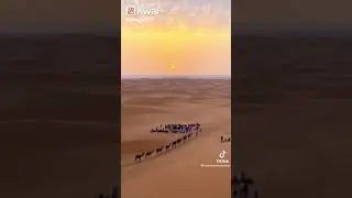 Hello happy New  welcome to morocco travel tours excursions with camels
