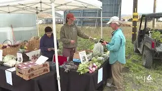 SLO County farm stands face uncertainty following complaints