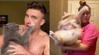 Cat Slap Compilation   Angry & Funny Cats  Fluff Planet