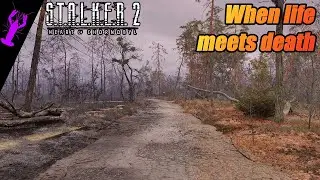 A beautiful Place, the Game Doesn't take you to | STALKER 2 [24]