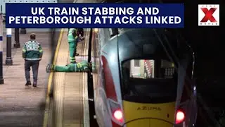 Gaza Reconstruction | Russia - Ukraine War | UK Stabbing | World Report | NewsX World