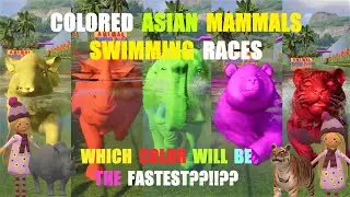 ANIMALS SWIMMING RACES IN PLANET ZOO - COLORED ASIAN MAMMALS SPEED RACES, TIGER, PANDA, ELEPHANT,ETC