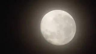 Moon Video - Zane Hunt - 19th July 2019