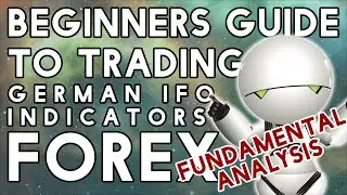 Fundamental Analysis For Novices - German IFO Indicators