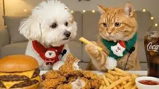 Funny Dog vs Cat Eating Battle! 🐱🐶 Crunchy Fried Chicken ASMR