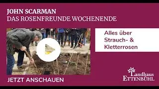 John Scarman - Das Rosenfreunde Wochenende - Alles &uuml;ber Strauch - & Kletterrosen
