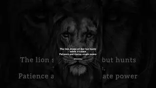Motivational Quotes| Life Taktics | Quotes #motivation #success #youtubeshorts #quotes
