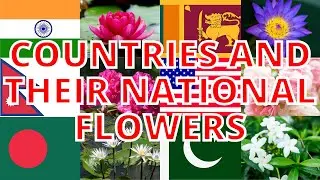 National flower of different countries in the world