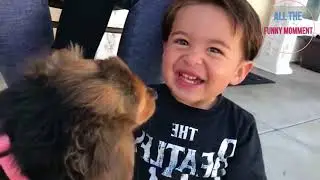 приколы 2017: приколы с детьми, приколы с животными. Fun 2017: fun with kids, fun with animals.