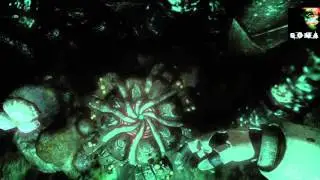 SOMA_2015 torrent