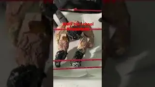 WWF Old School RAWISWAR
