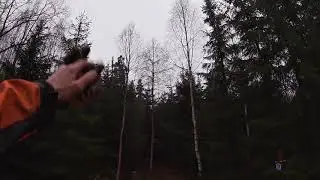 Serie om skogsröjning underröjning del 2