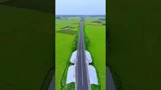 Viral Road in Bangladesh so Beautiful #view #viralshorts #beautiful #road