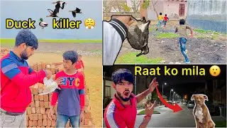 Hmari gali main aggresive pitbull dog aagya 😮 (Bacho se duck ko 🦆 rescue kiya
