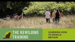 The Rewilding Training introductory webinar - How to rewild Britain