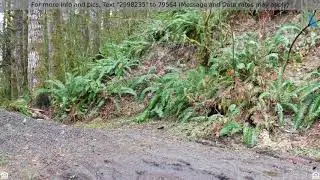 Priced at $9,000 - North Shore DR 2500, Birkenfeld, OR 97016