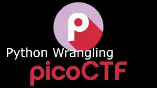 PicoCTF Python Wrangling