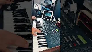 Synth solo with my Korg MS2000 over a track by Groove Window #korg #synth #shorts