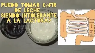#8✅ KEFIR DE LECHE: Puedo Consumirlo Siendo Intolerante a la Lactosa. #k&eacute;fir 