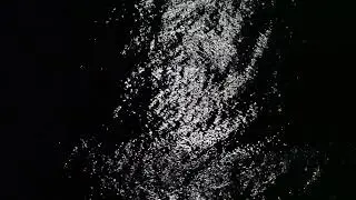 Calico (Audio)