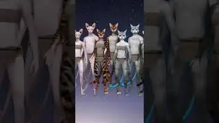 Starter Cat Characters For Upcoming Game