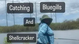 ***Nonstop Roadside Fishing *** in Palm Bch  !! FYP YouTube!!