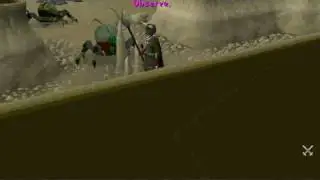 Slaying Kalphites with Guthans and Cannon
